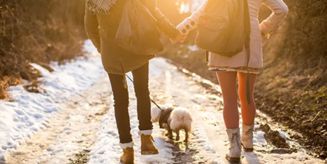 Navigating Holiday Stress as a Couple: Tips for a Happier Season 6